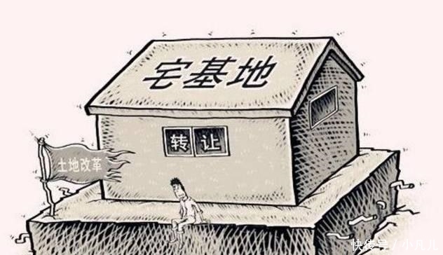  【农民】注意! 农村宅基地有新说法了, 你必须要知道!