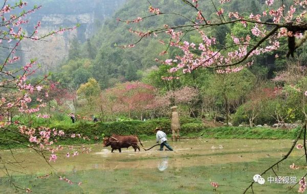  「花儿」你和花儿，一样美！