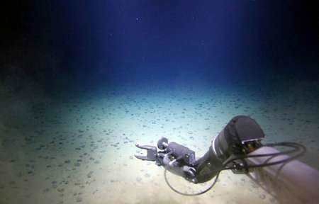 潜水员在海底10000米处发现令人紧张的东西,