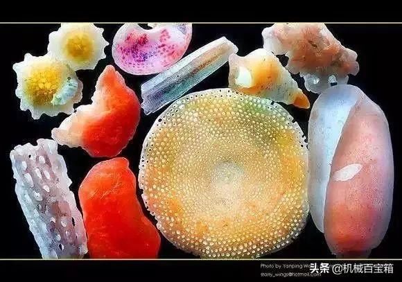 普通沙子放大300倍后是怎么样的?美丽的让人怀疑!