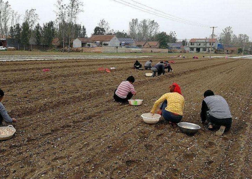 未来有可能出现回农村潮吗?说出来，你都不一定会相信!