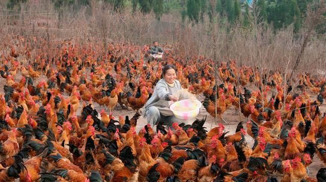 农民在自家耕地上建养殖场，村委要求必须拆除，有道理吗？