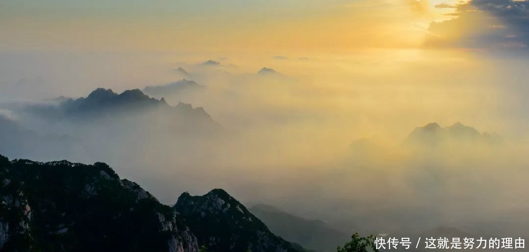 好评率93.6%!泰山景区荣登山东省5A景区测评榜首