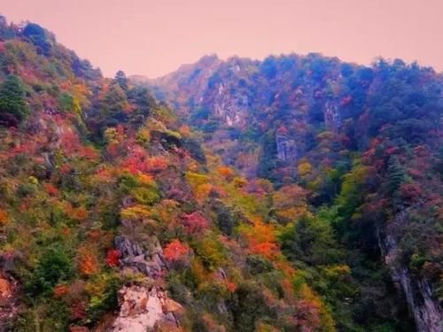 秦岭私藏2条自驾公路，秋季美成天堂，霸占北方最绚烂秋景