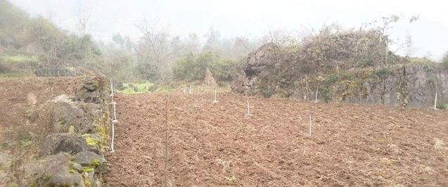 19年农村将实施“三补三不补”，农民好日子来了，三补有你吗？