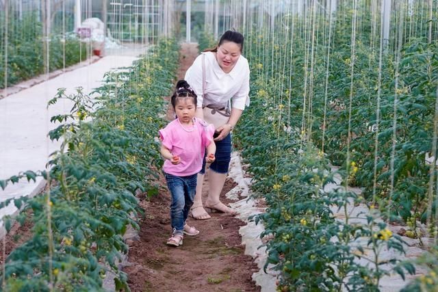  「快乐」重庆：智慧农场里的快乐假期