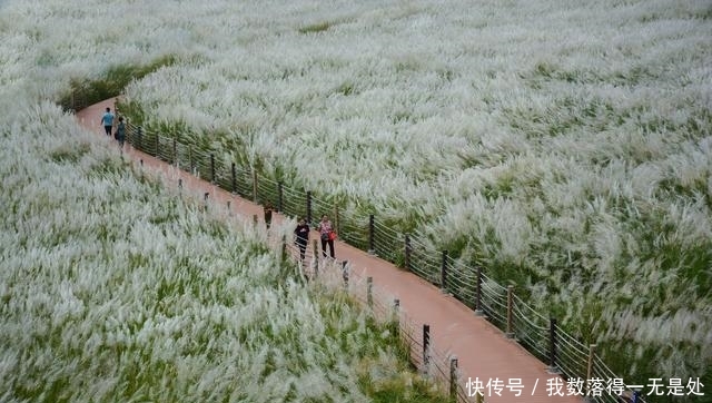 中秋节离城区最近的打卡地，不收门票早晚人很多，你想去看看？