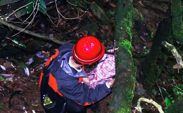 告诉你一个事实千万不要惊讶 距离成都百公里有个“非洲丛林”！