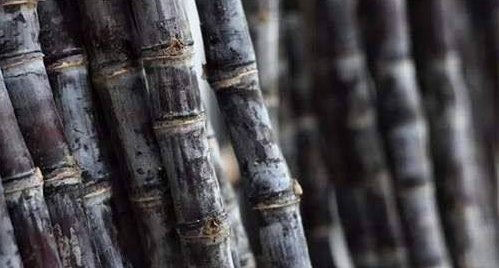  【方言】重庆方言对美食的别称，外地人不懂了吧！你也这样叫吗