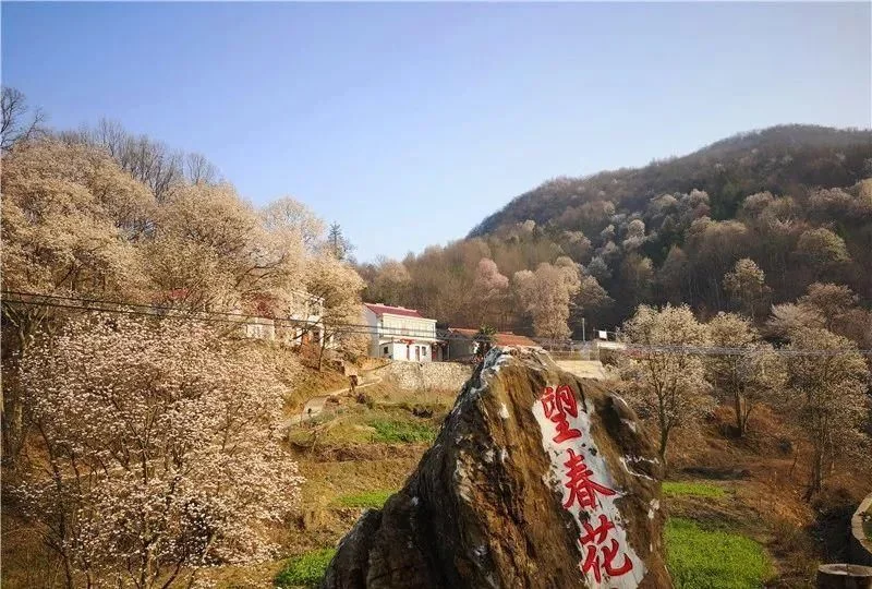 3月,低调六安意外爆红!一组照片,全国人民都被美哭了!【2020热门旅游景点】