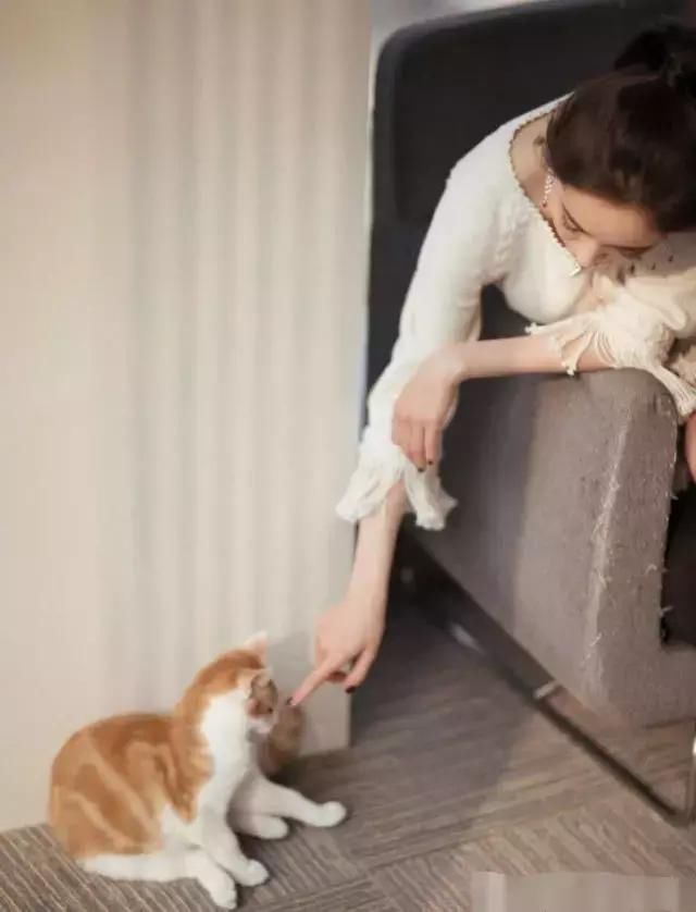 杨幂换了名媛风！这次除了“筷子腿”,一身“金针菇”更实力抢镜