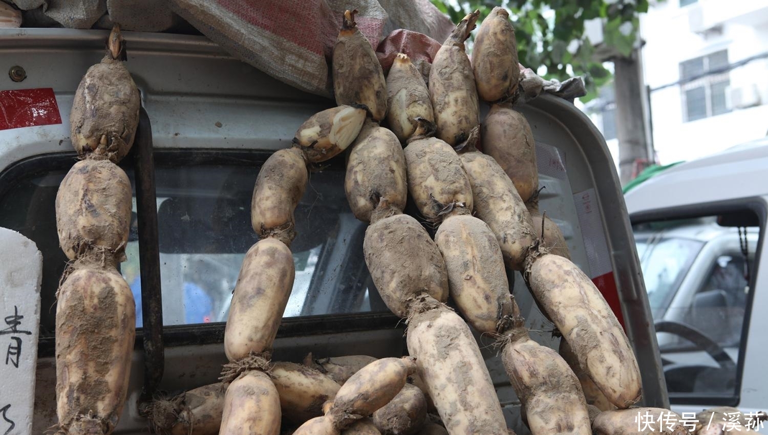 一家三口贩莲菜日入千元 供俩孩子读书