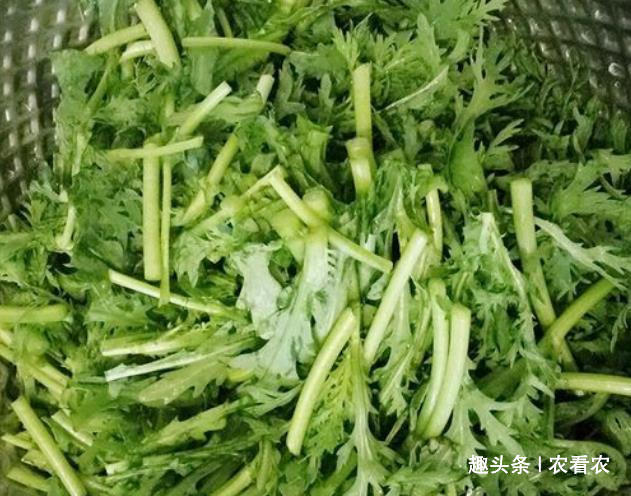  「回家」一到过年到处是，农村大妈抢着挖，一袋一袋拿回家