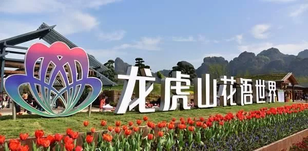 「龙虎山向全国游客免门票」千亩郁金香+十里桃樱浪漫花海等你来