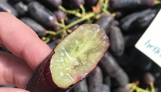  亩产值|刚引进我国就爆红，号称亩产值15万元，农民：钱都让卖苗