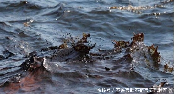 墨西哥湾底部的神秘湖泊，被称为“温柔杀手，”没有生物敢靠近它