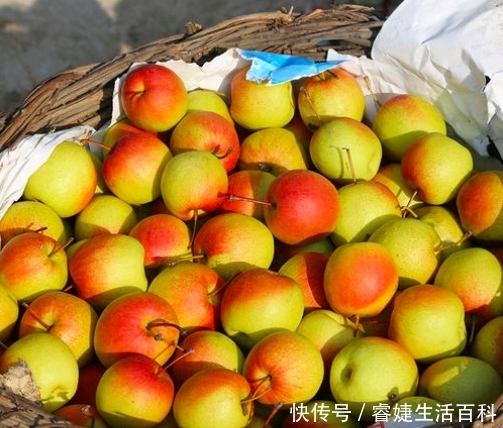  下山|素有“京北名果”之称的它让果农哽咽，人肉背下山，滞销上