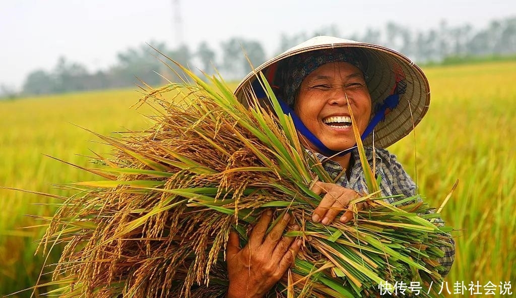 “一九一场雪, 猪狗不吃黑”, 这句农村俗语有道理吗?