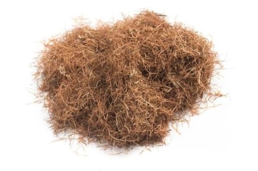  #没错#七八十年代喂猪的野草，不是中药材就是野菜，吃过的是土