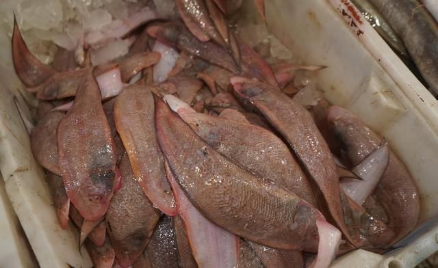 自驾走过广西广东海南，来到福建霞浦三沙，带你看看渔村海鲜价格