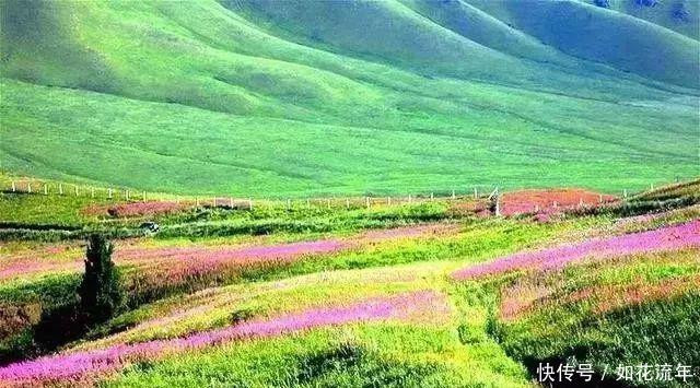 新疆有个地方，比香港还晚回归！景色却美到无法无天！