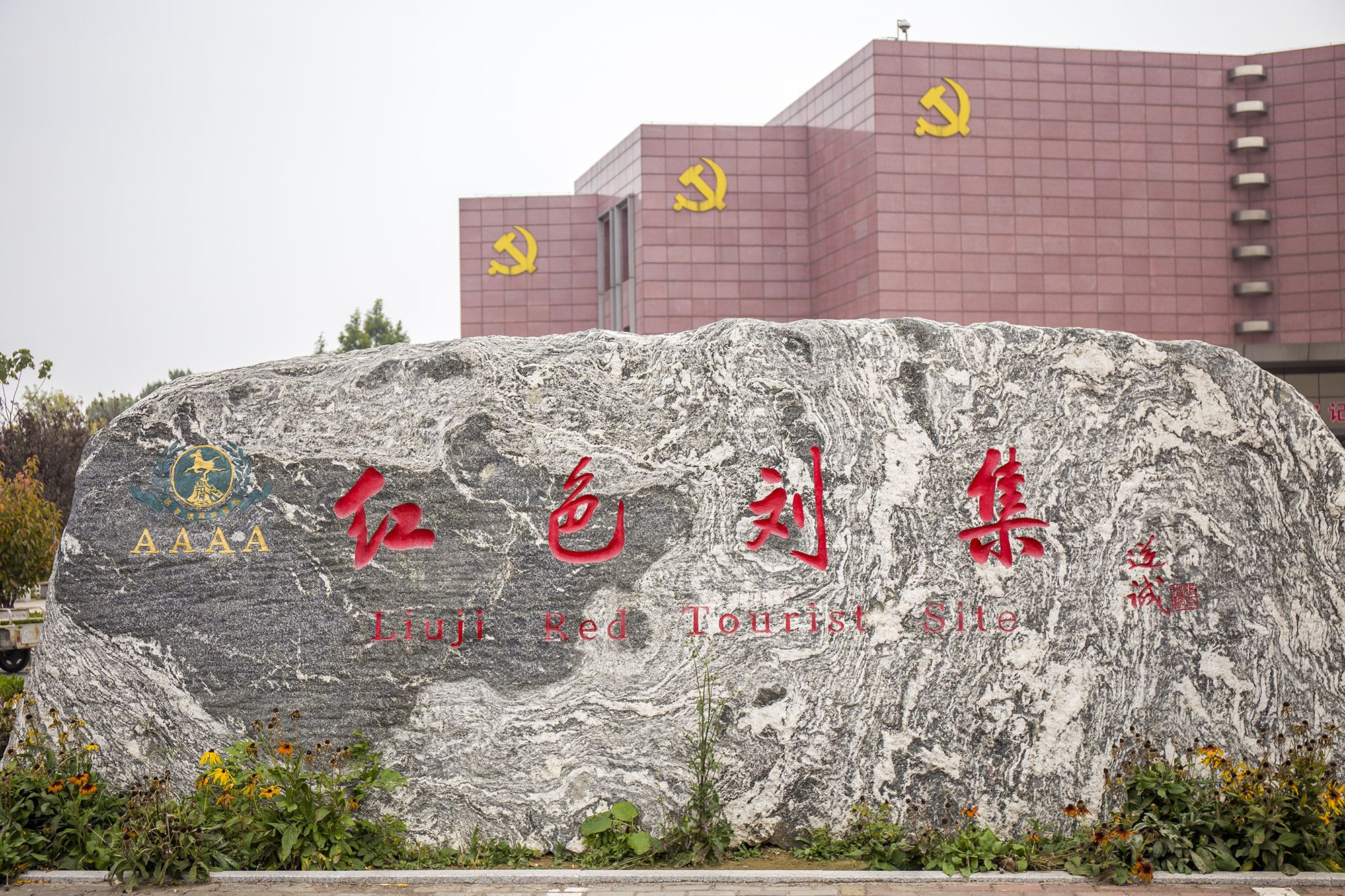 东营丨走过沧海桑田，终是在芦花飞雪的秋日遇见你