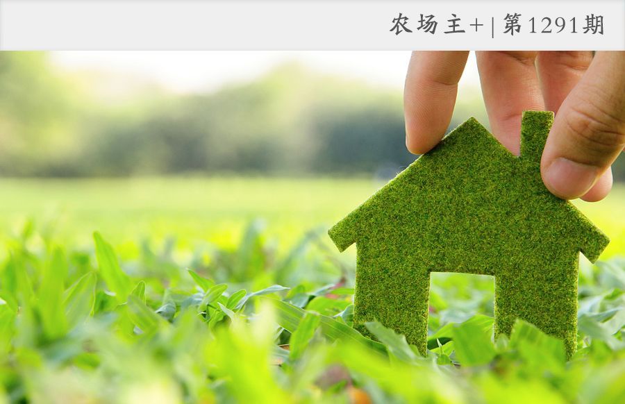 央视质问：我让你查大棚，谁让你一刀切了？