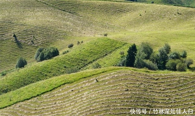 跟着哈萨克族牧民上山打草，体验哈萨克族生活，感受新疆秋季魅力