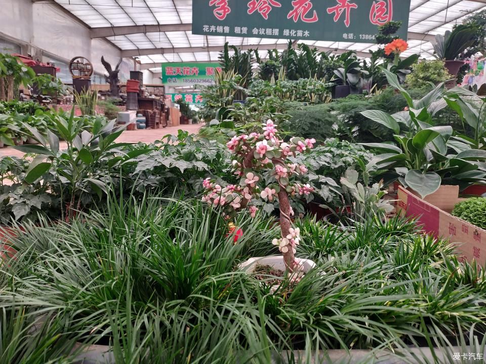  『色彩纷呈』【4月，你好】花花世界 色彩纷呈 赏心悦目