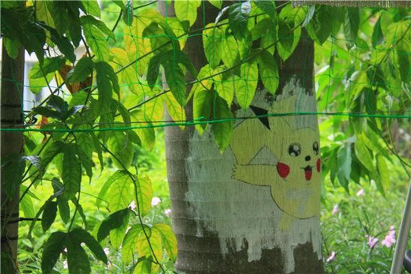 东莞撒野农庄将树木当画本，让游客脑洞大开在树上涂鸦