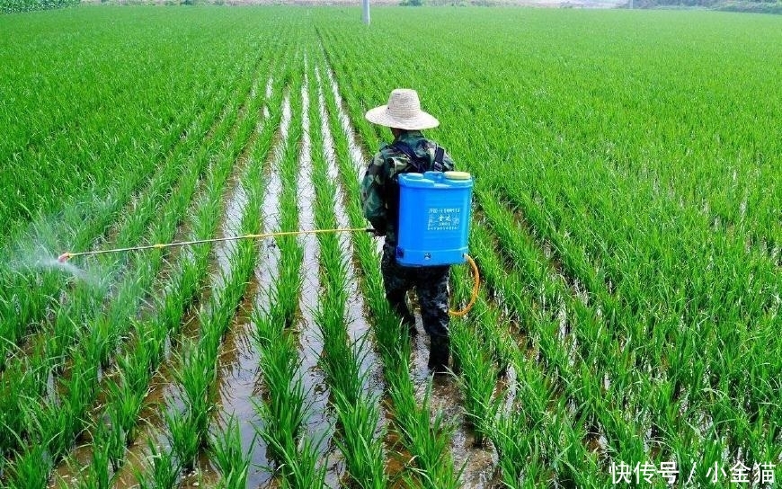  发现■农民注意: 过去农村这种常见“物品”已经禁用, 被发现了