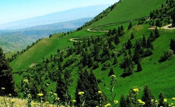 1998年中国政府成功收回了3万多公顷领土，如今没有几个人知道