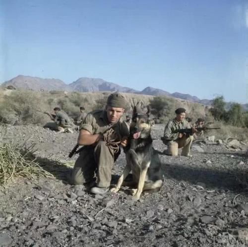  【部队】1964年的英军，精锐部队换上最新自动步枪，附属部队还在拉大栓