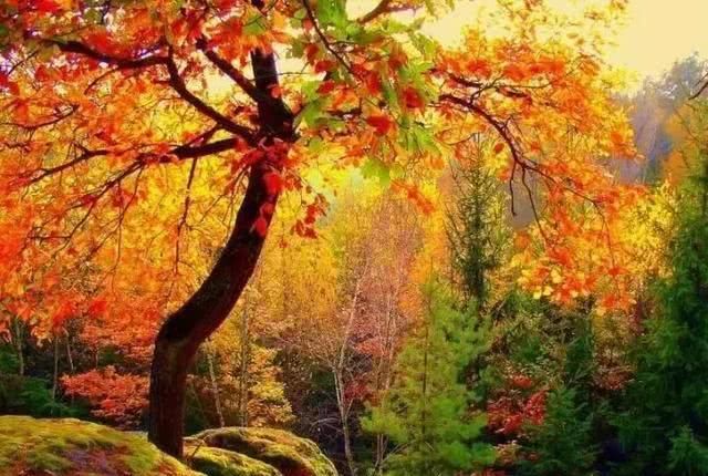 广西周末自驾游路线，一路惊喜，一路美景，体验夏天最美的样子！