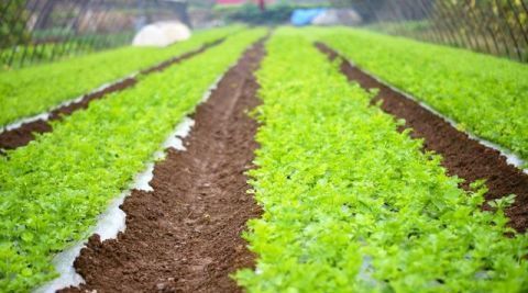  【确权】土地确权证到手后别着急收，这4个地方最易出错，要仔细