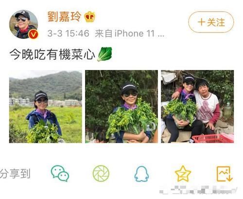 『生活』刘嘉玲外出爬山健康生活,偶遇菜农合照买有机蔬菜心情大好