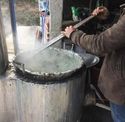 入侵中国的水葫芦，现都消失去哪了？老外不得不感叹中国人智慧！