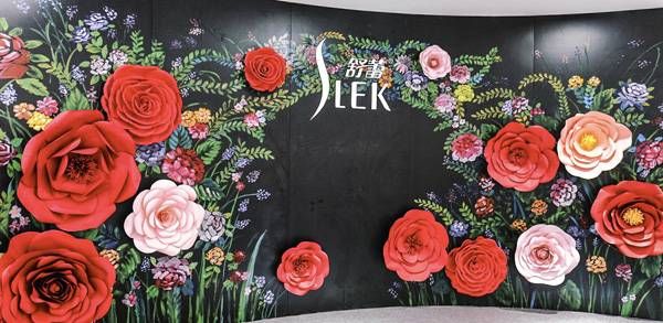 舒蕾“神秘礼盒”限时登陆石家庄 植萃内涵释放品牌年轻动力