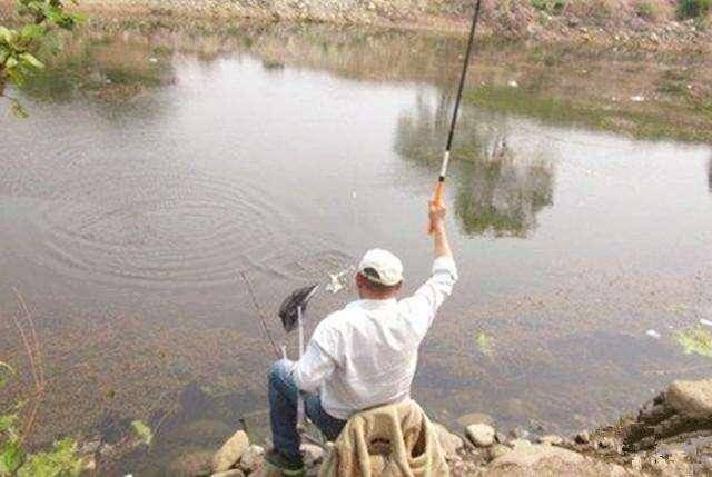 『情况』不打窝渔获好,打窝后反而没渔获,到底是什么情况