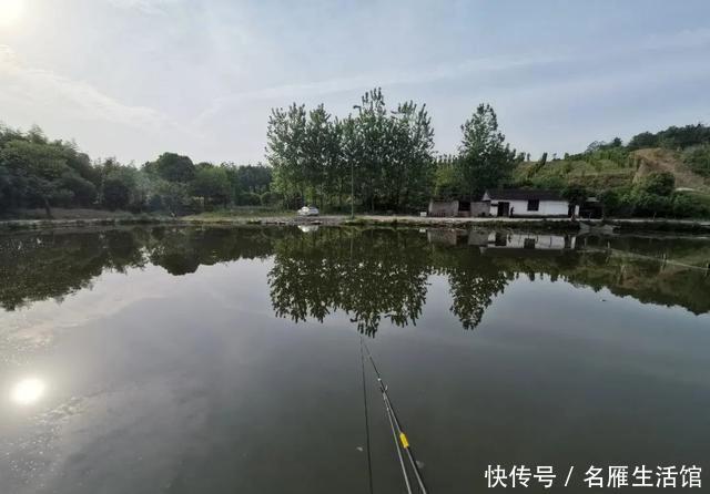 『拿走』“鲢鳙总闹窝,钓起却不能拿走”,玩黑坑最怕遇到这4件事