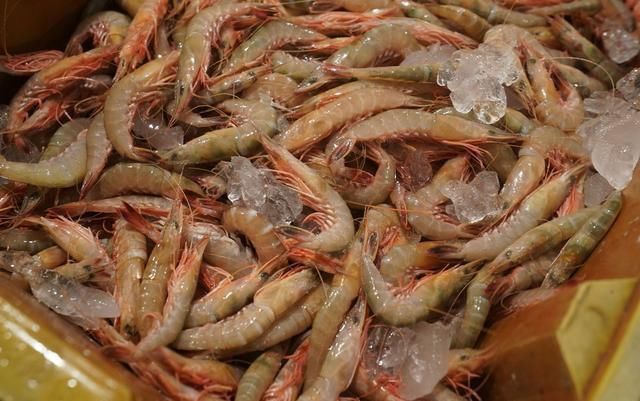 自驾走过广西广东海南，来到福建霞浦三沙，带你看看渔村海鲜价格