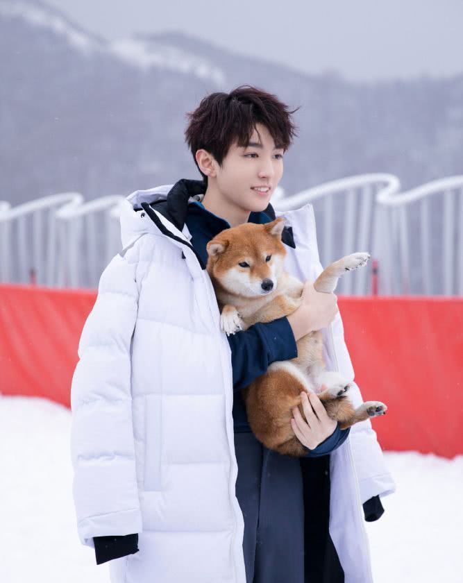 王俊凯湖南卫视跨年歌曲