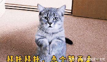 在乌克兰住宿，导游：晚上美女敲门不能开？原因说出来你可能不信