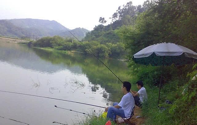  入手：开钓以后鱼不给口，钓友从这些地方入手，或许鱼口会好