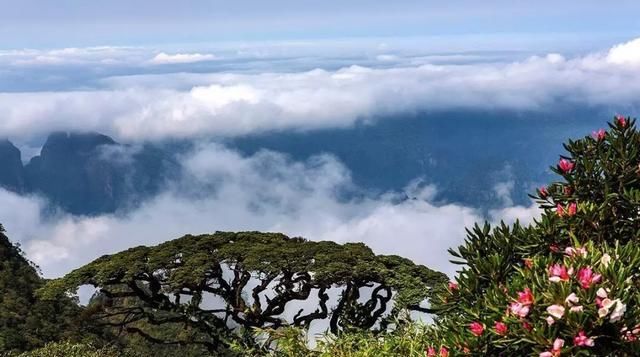  #邂逅#在大山深处邂逅古老神秘的千年瑶族，感受原生态的瑶族风情