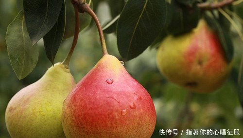 导致农产品滞销的5大谣言，“谣言坑农”该停止了！