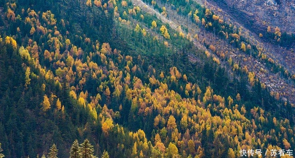 四川实力最不容小觑的两个城市：不是宜宾，攀枝花，也不是成都