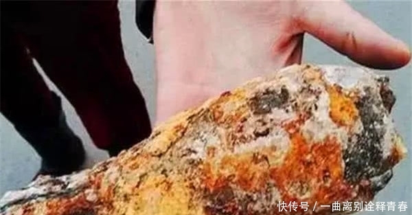  报警|大哥地里捡回一个“大鸡腿”，经人鉴定，赶忙报警