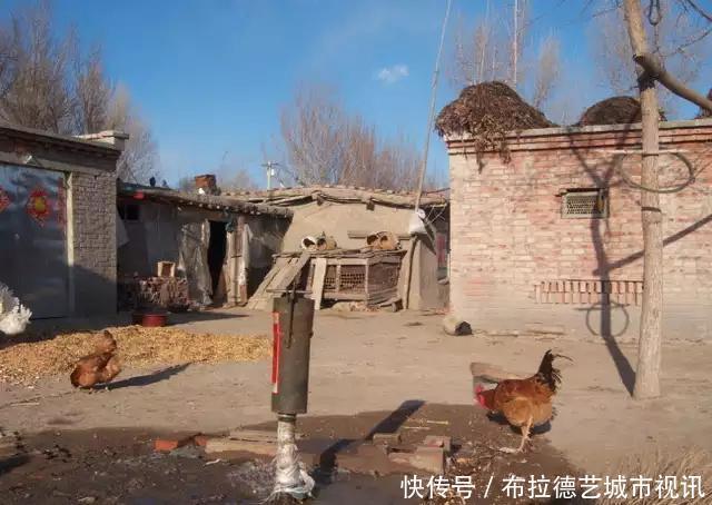  【高楼】农村合村并居，农民跟城里人一样住高楼，你愿意吗