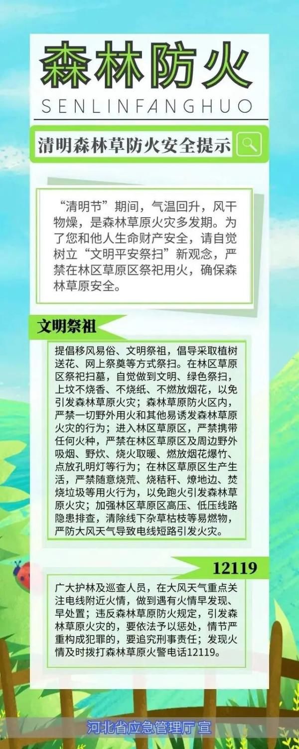  『防火』河北省森防指办公室发布清明森林草原防火安全提示